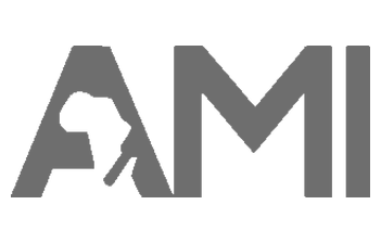 AMI Insights